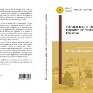 Les Fonds de Garantie au cœur du financement de l’Afrique de demain – Image 2