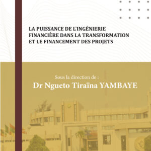 Les Fonds de Garantie  au cœur du financement de l’Afrique de demain